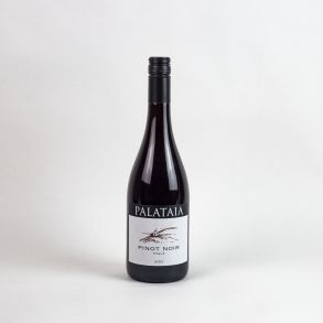Pinot Noir, Palataia, Pfalz, 2021
