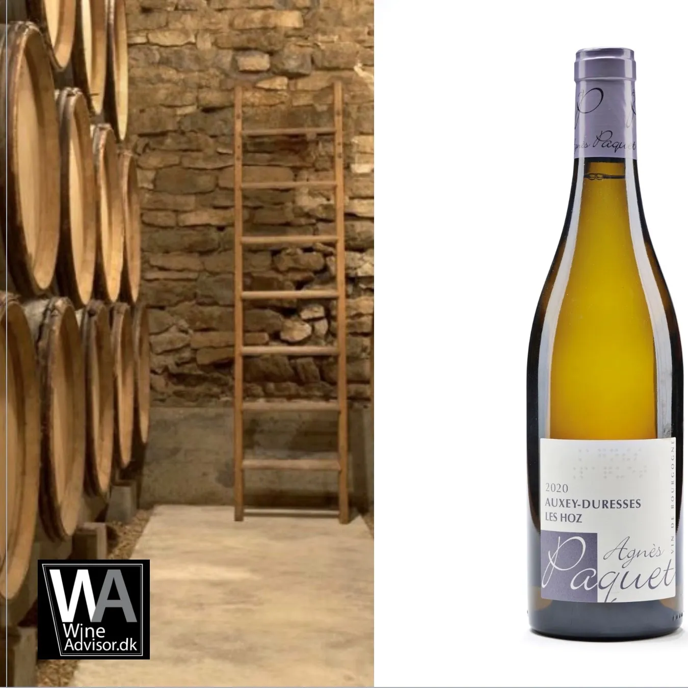 Auxey-Duresses Les Hoz, Agn�s Paquet 2024, �KO