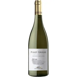 Hvidvin Pinot Grigio Valdadige DOC